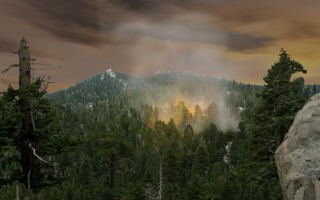 Artist depiction of smoke particle aerosols from forest fires.
