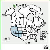 Distribution of Erigeron aphanactis (A. Gray) Greene. . Image Available. 