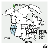 Distribution of Erigeron austiniae Greene. . Image Available. 