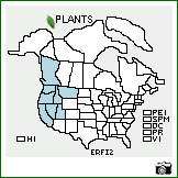 Distribution of Erigeron filifolius (Hook.) Nutt.. . Image Available. 