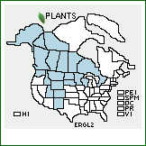 Distribution of Erigeron glabellus Nutt.. . 