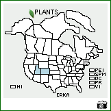 Distribution of Erigeron kachinensis S.L. Welsh & Glen Moore. . Image Available. 