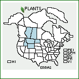 Distribution of Erigeron radicatus Hook.. . 