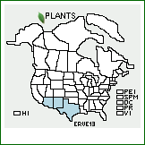 Distribution of Erigeron versicolor (Greenm.) G.L. Nesom. . 