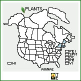 Distribution of Amelanchier nantucketensis E.P. Bicknell. . 