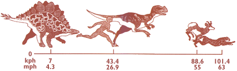 Chart showing speeds
of modern-day animals and dinosaurs