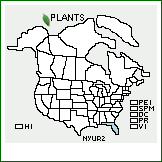 Distribution of Nyssa ursina Small. . 