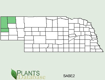 Nebraska County Distributional Map for Salix bebbiana