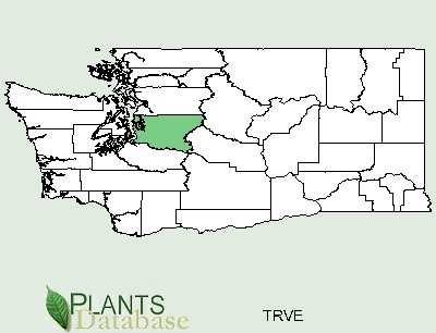Washington County Distributional Map for Trifolium vesiculosum