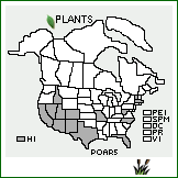 Distribution of Polygonum argyrocoleon Steud. ex Kunze. . 