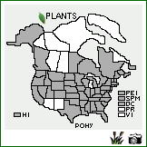 Distribution of Polygonum hydropiper L.. . Image Available. 