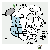 Distribution of Polygonum minimum S. Watson. . 