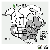 Distribution of Polygonum orientale L.. . Image Available. 