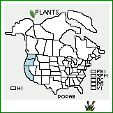 Distribution of Polygonum parryi Greene. . 