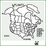 Distribution of Polygonum patulum M. Bieb.. . 