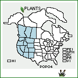 Distribution of Polygonum polygaloides Wall. ex Meisn.. . 