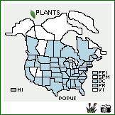 Distribution of Polygonum punctatum Elliot. . Image Available. 