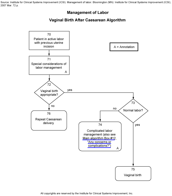 Management of Labor. Vaginal Birth After Caesarean Algorithm.