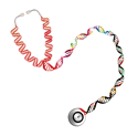 Image of double helix and stethescope