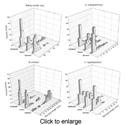 Size composition by species and gear