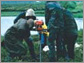 Scientists drill into frozen Siberian peat bogs to determine the bogs' impact on climate.