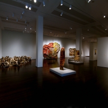 Installation view. Courtesy of The Blanton Museum of Art. Photo: Rick Hall
