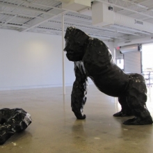 Angus Fairhurst at Fort Worth Contemporary Art: Guerilla Gorilla