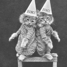 Harry Pointer's 1870 photo of coaxed kitties.