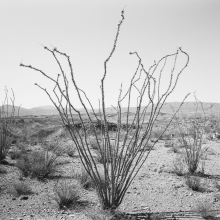 “Big Bend” by Jack Ridley at Photographs Do Not Bend