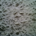 A detail from The Tempest (2011) by Laura Alexander, shown at the Grand Rapids Art Museum. The work measured about 9-by-8 feet and comprised five layers of hand-cut paper. Its delicate beauty, along with the evident patience required to produce it, earned it a place in the competition's Top Ten.