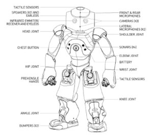 NAO robot schema