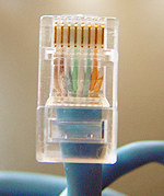 Photo of an internet cable.