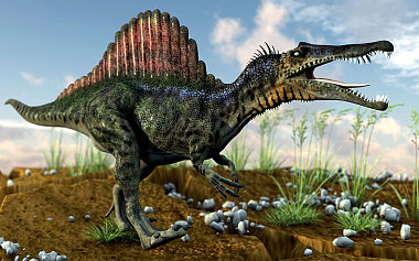 A Spinosaurus