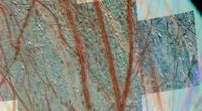 alse-color image of Europa's trailing northern hemisphere, where subduction zones are hypothesized to exist. Credit: NASA/JPL/University of Arizona.