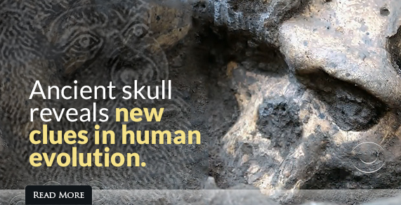 Ancient Skull Reveals New Clues in Human Evolution.