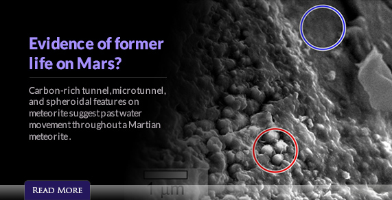 Evidence of former life on Mars?