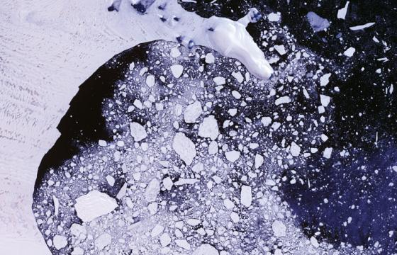 satellite image of Larsen B ice shelf in Antarctica