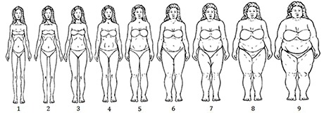 Do you know what too fat looks like?