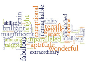 Terms used in references to describe male applicants