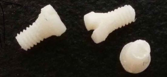 These are silk screws that could replace metal screws used to help repair bone fractures. They are being developed by David Kaplan and his team at Tufts University: http://engineering.tufts.edu/bme/people/kaplan/ 

Photo courtesy of Tufts University