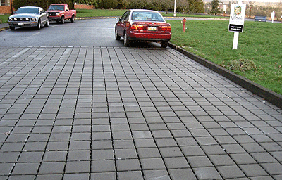 Permeable pavement reduces runoff, mitigating heat buildup and improving drainage.