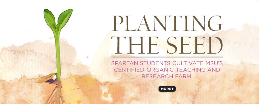 Planting the seed. Spartan students cultivate MSU’s certified-organic teaching and research farm. 