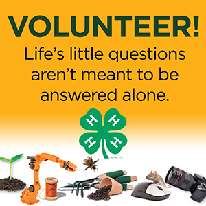 Michigan 4-H volunteer recruitment button