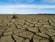 climate change desert