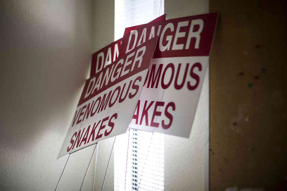 Signs used to be posted outside the clinic warning of venomous snakes. Minto says the signs were part of an effort to deter protesters from the clinic's front lawn.