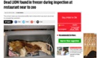 Screengrab of the Mirror website with a photograph of how a dead lion may have looked in a freezer