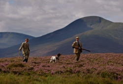 Ian McColl, director of the Game and Conservation Trust (R) and gamekeeper Alastair Lyon watch for grouse on the Railia and Milton Estate on Drumochter moor, on August 8, 2008 near Dalwhinnie in Scotland. Photo: Getty Images