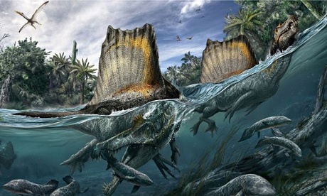 Spinosaurus, the only known dinoasaur adapted to life in water