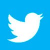 Twitter bird in blue