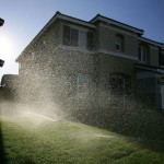 Drought Becomes Top Environmental Priority for Californians